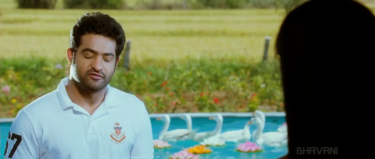 Brindavanam (2010) BluRay Hindi + Telugu 720p x264 AVC HE-AAC 2.0 ESub.mkv.0001